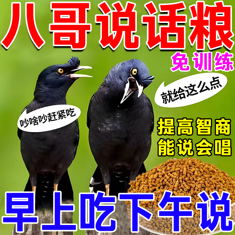 一吃说话八哥专用说话粮热卖榜