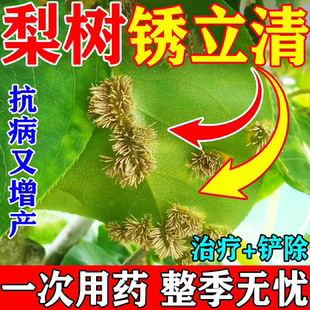 梨树锈病专用药病菌清杀菌剂果树杀虫消杀灵清园剂赤星病羊胡子药