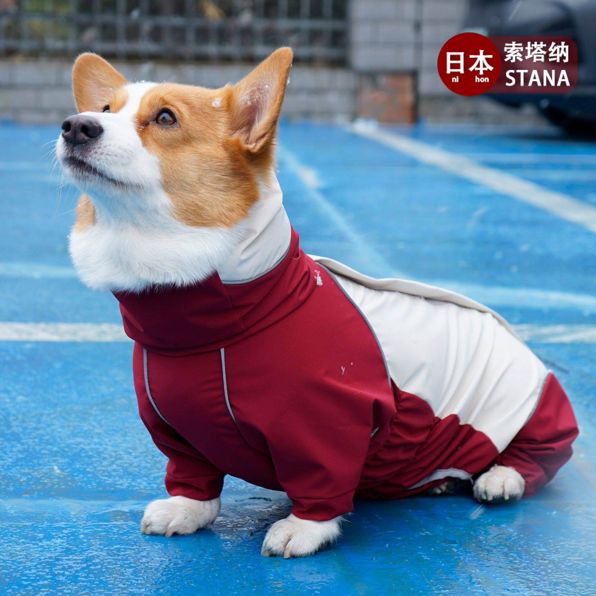 日本进口高端狗狗雨衣户外雨天防水宠物柯基衣服连帽全包雨衣夏季