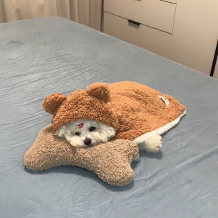 宠物毛毯狗狗衣服冬装中小型犬比熊泰迪猫咪披风2026新款睡衣斗篷