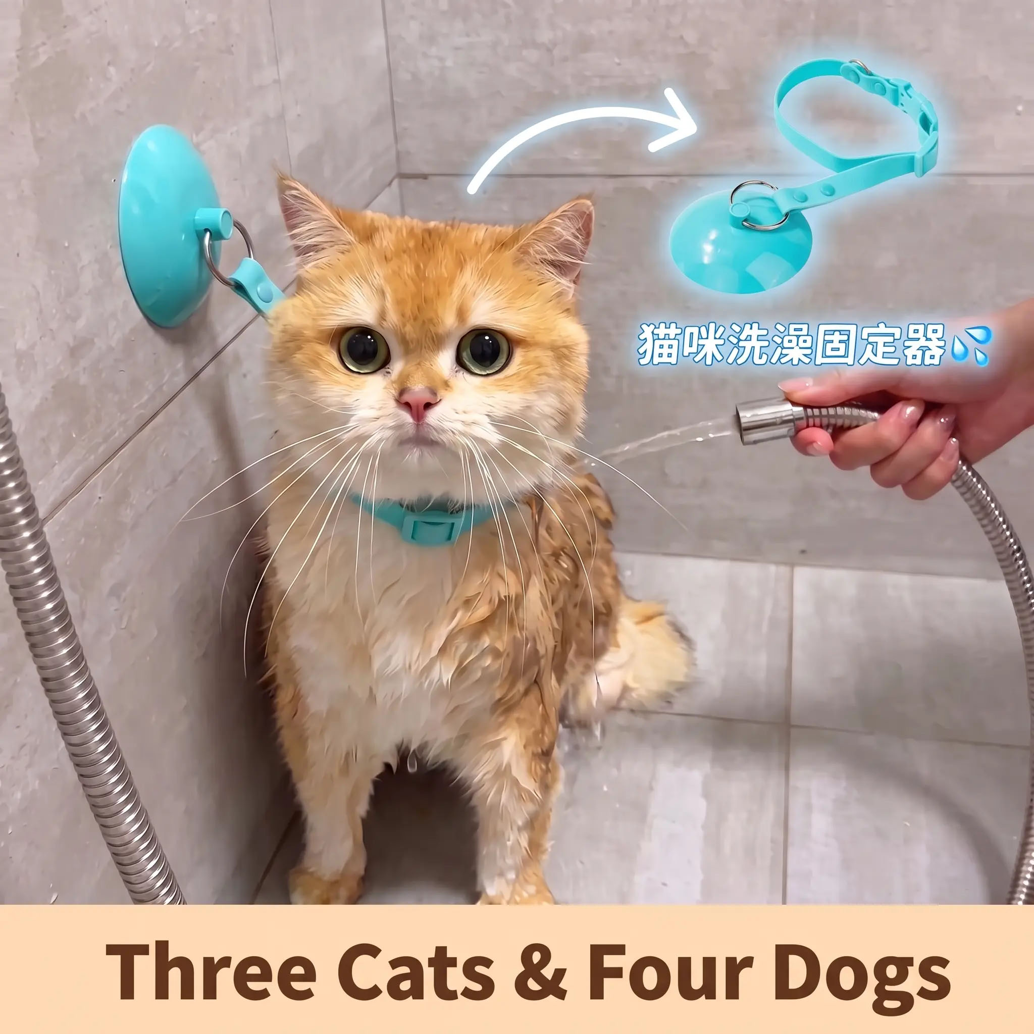 猫咪狗狗洗澡吸盘扣！省力更省心图片