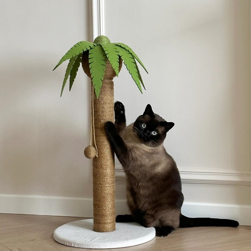 暹罗猫椰子树猫抓柱子耐用猫抓板