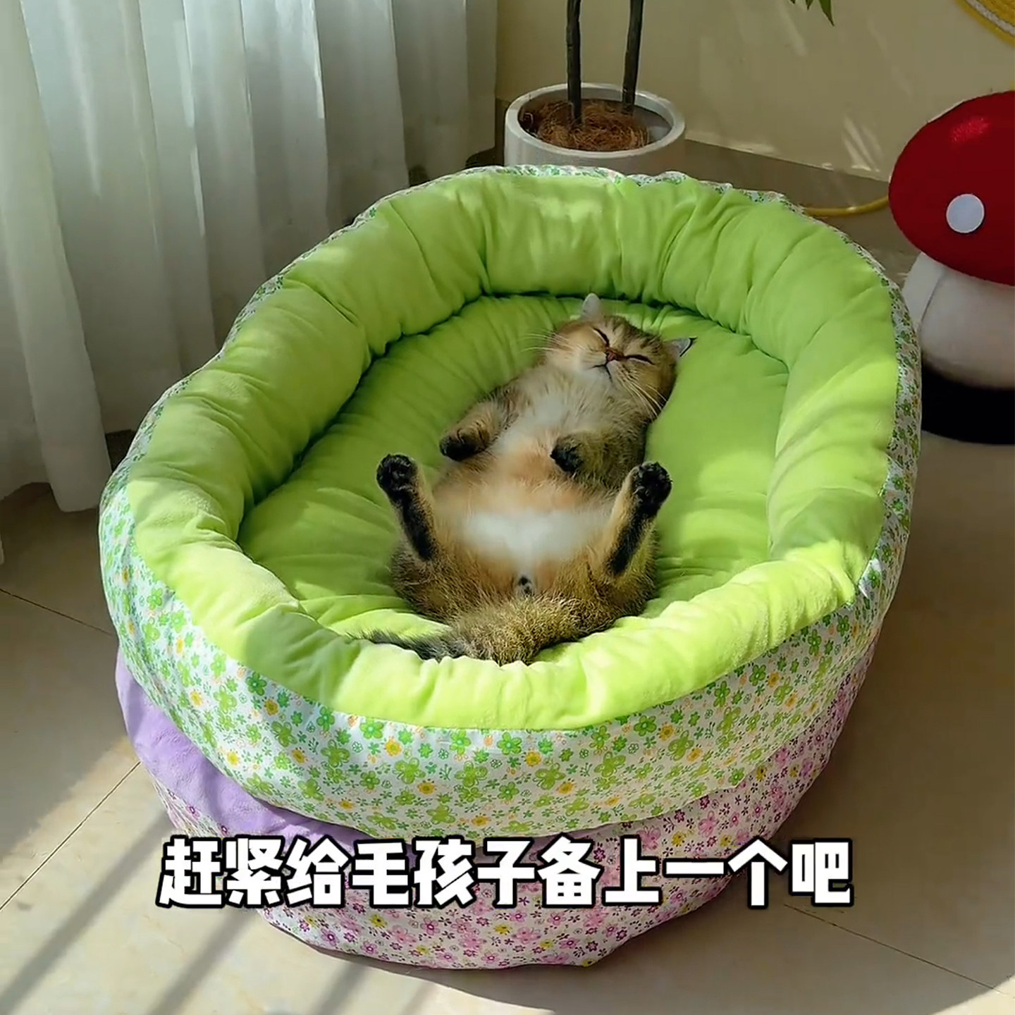 小碎花猫窝四季通用宠物沙发垫子