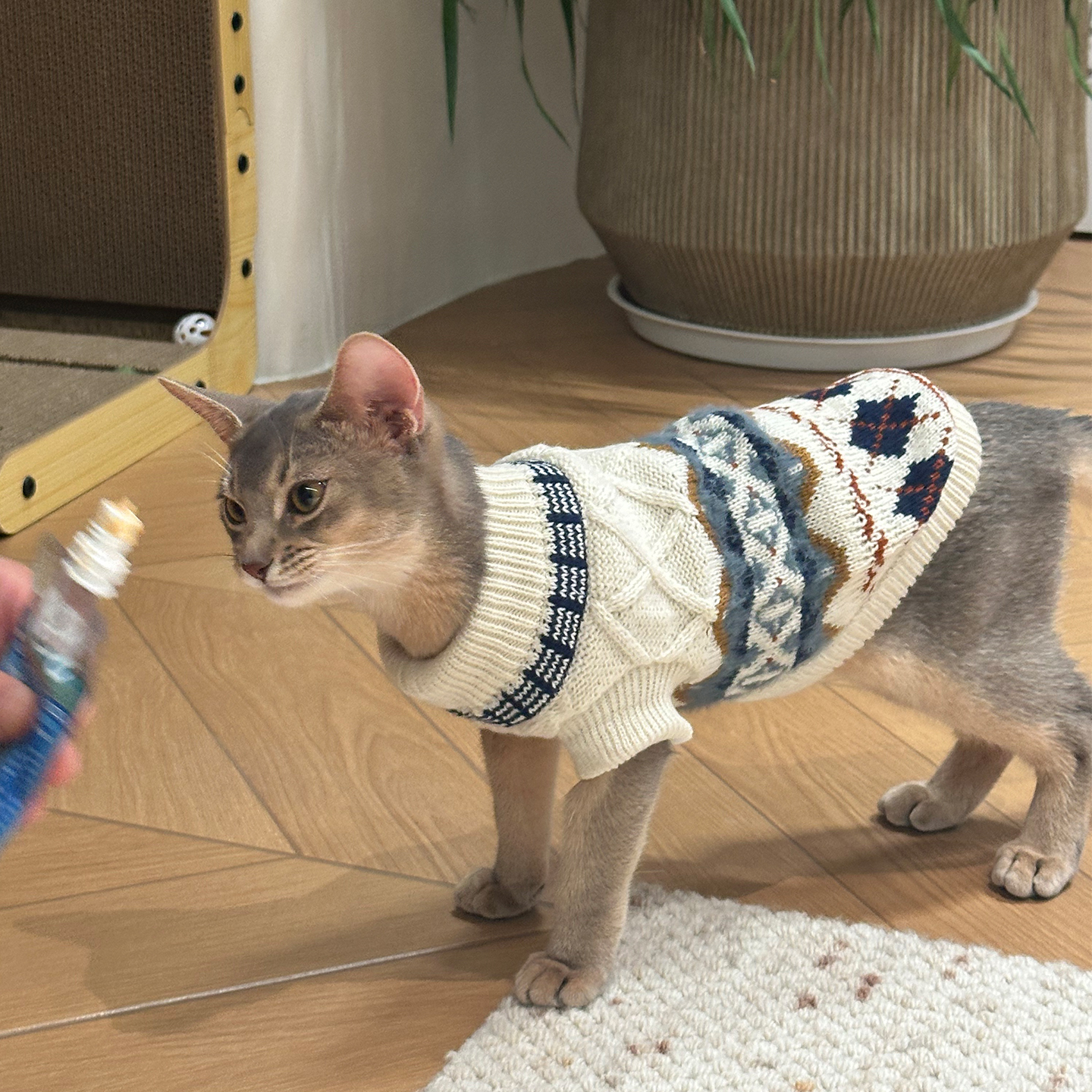 【萌宠冬日OOTD】宠物费尔岛毛衣