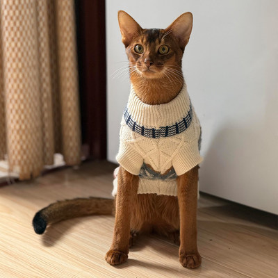 【萌宠OOTD】宠物菱形毛衣冬装