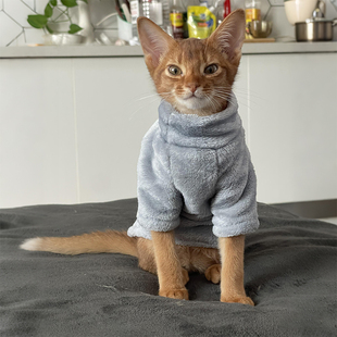 宠物猫咪衣服冬装防掉毛德文无毛猫阿比西尼亚猫小型犬狗狗两脚衣