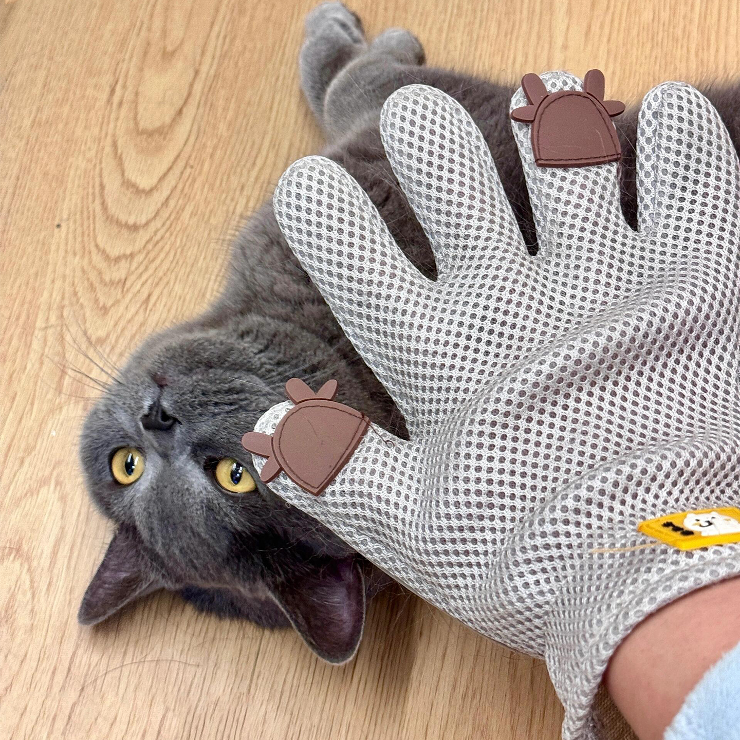 【撸猫神器】加厚防抓咬撸猫手套