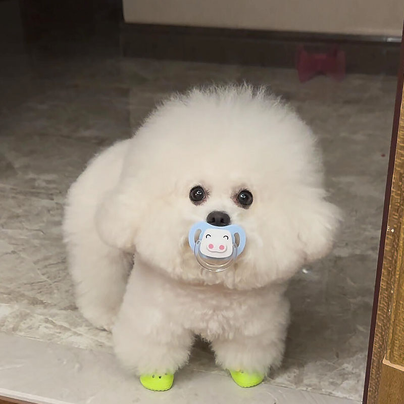 狗狗专用安抚奶嘴幼小型犬玩具图片