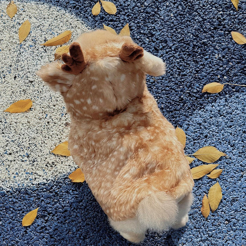 宠物圣诞节OOTD|麋鹿披风斗篷