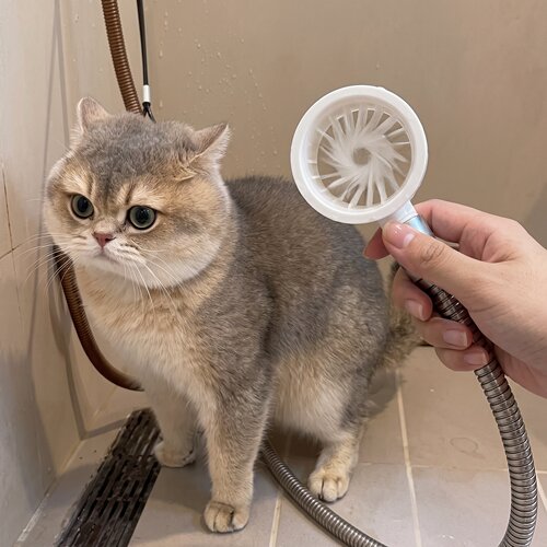 洗猫爪专用花洒！冲一下就干净