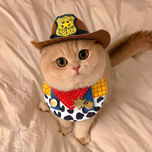 帅气牛仔帽子！小猫秒变超酷男神