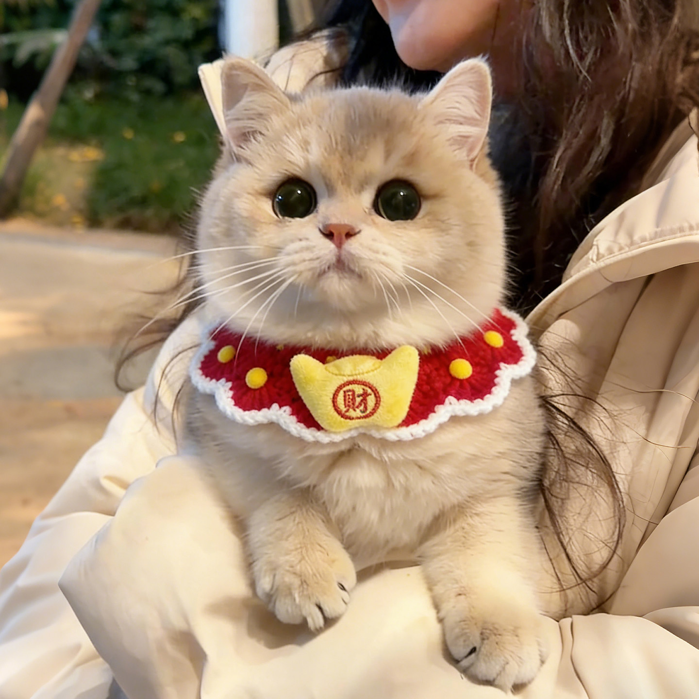 猫咪新年围脖宠物围巾红色喜庆口水巾小猫围兜小狗狗针织围领装饰,宠物/宠物食品及用品,围巾/口水巾,淘宝优惠券,粉丝福利购,淘宝优惠卷