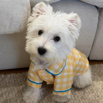 宠物格子衬衫家居服薄款防掉毛