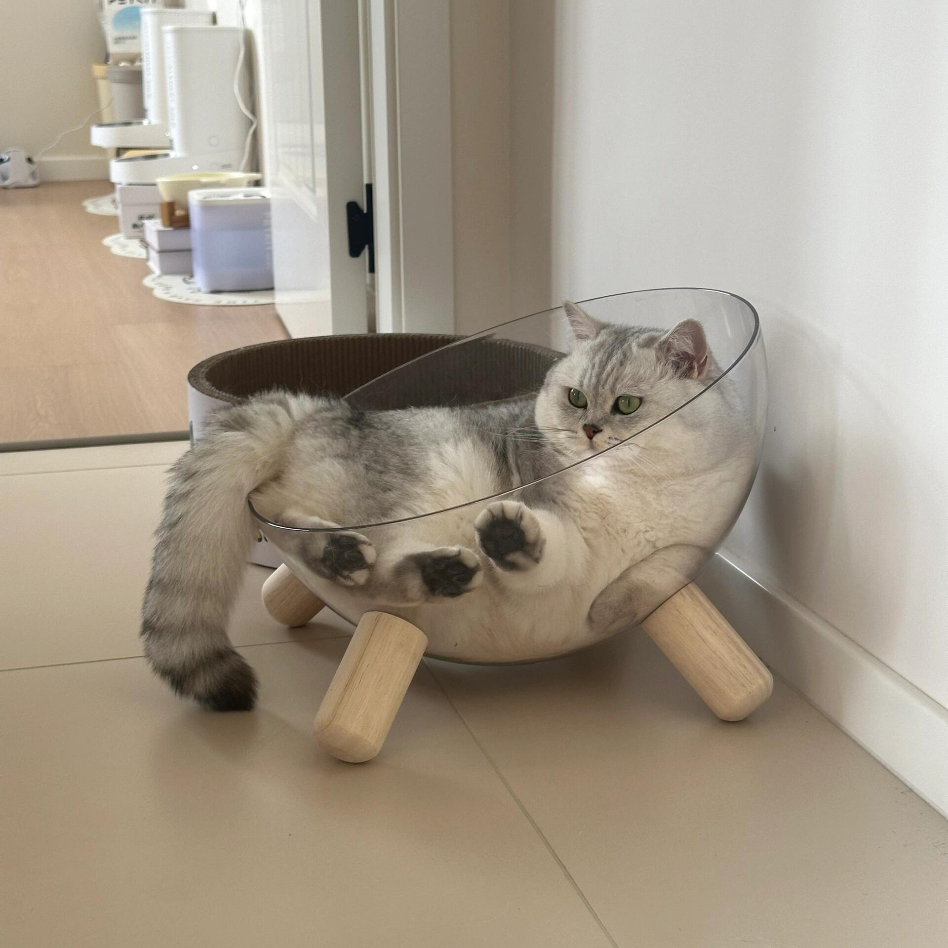 半圆透明四角猫窝四季通用猫床