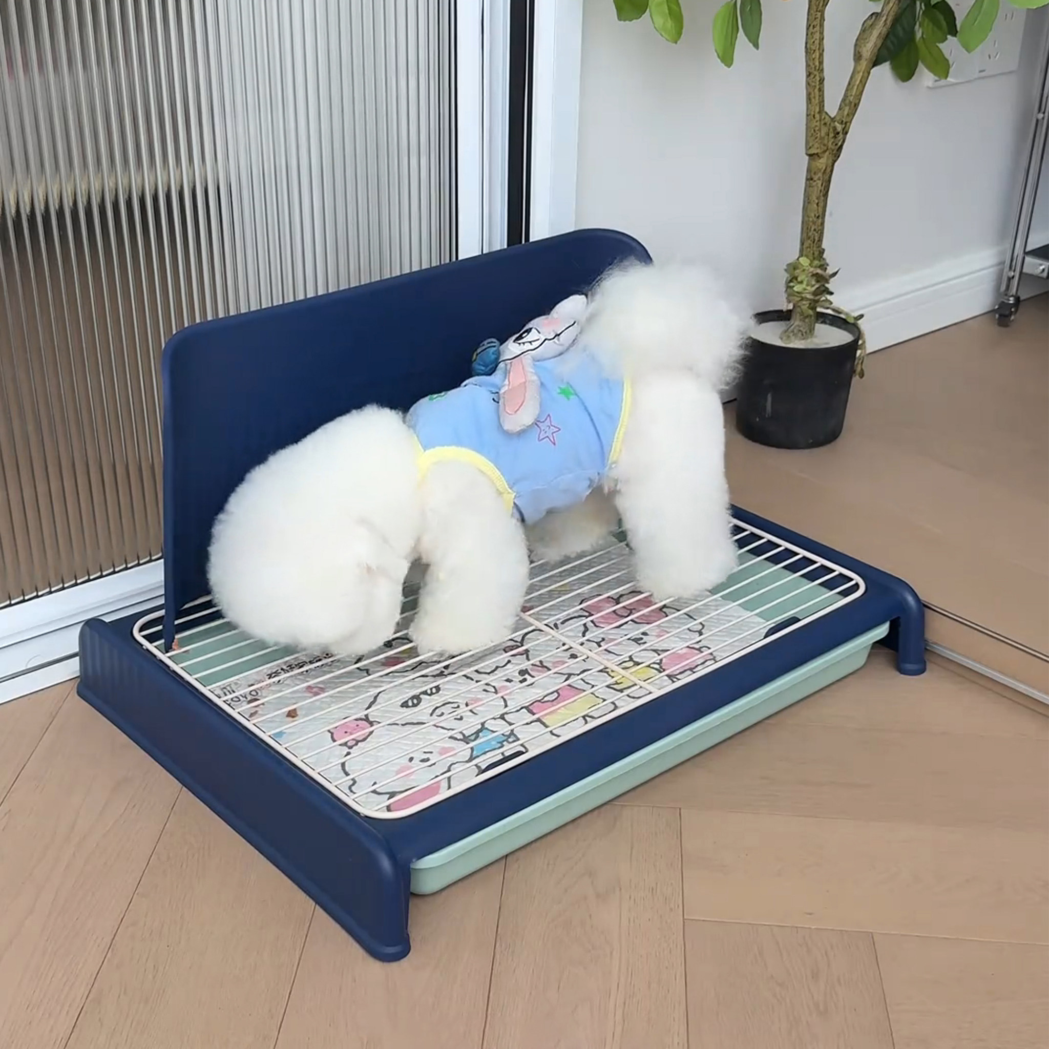 宠物狗厕所小型犬比熊泰迪狗狗专用尿盆定点排便训练便盆防踩屎,宠物/宠物食品及用品,狗厕所,淘宝优惠券,粉丝福利购,淘宝优惠卷