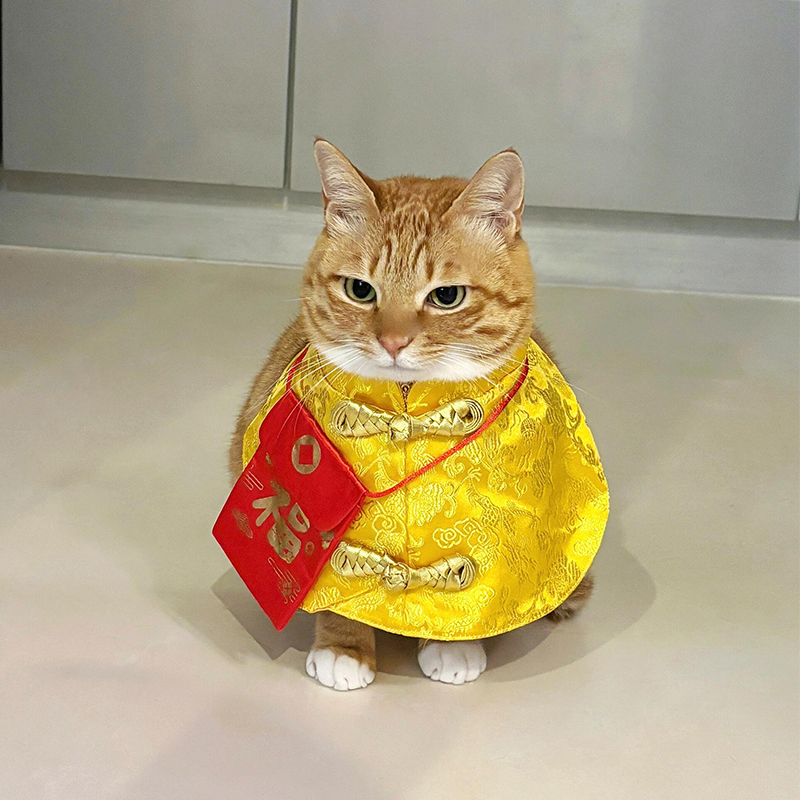 猫咪新年衣服唐装红包袋围脖中国风过年喜庆斗篷披风宠物装扮用品