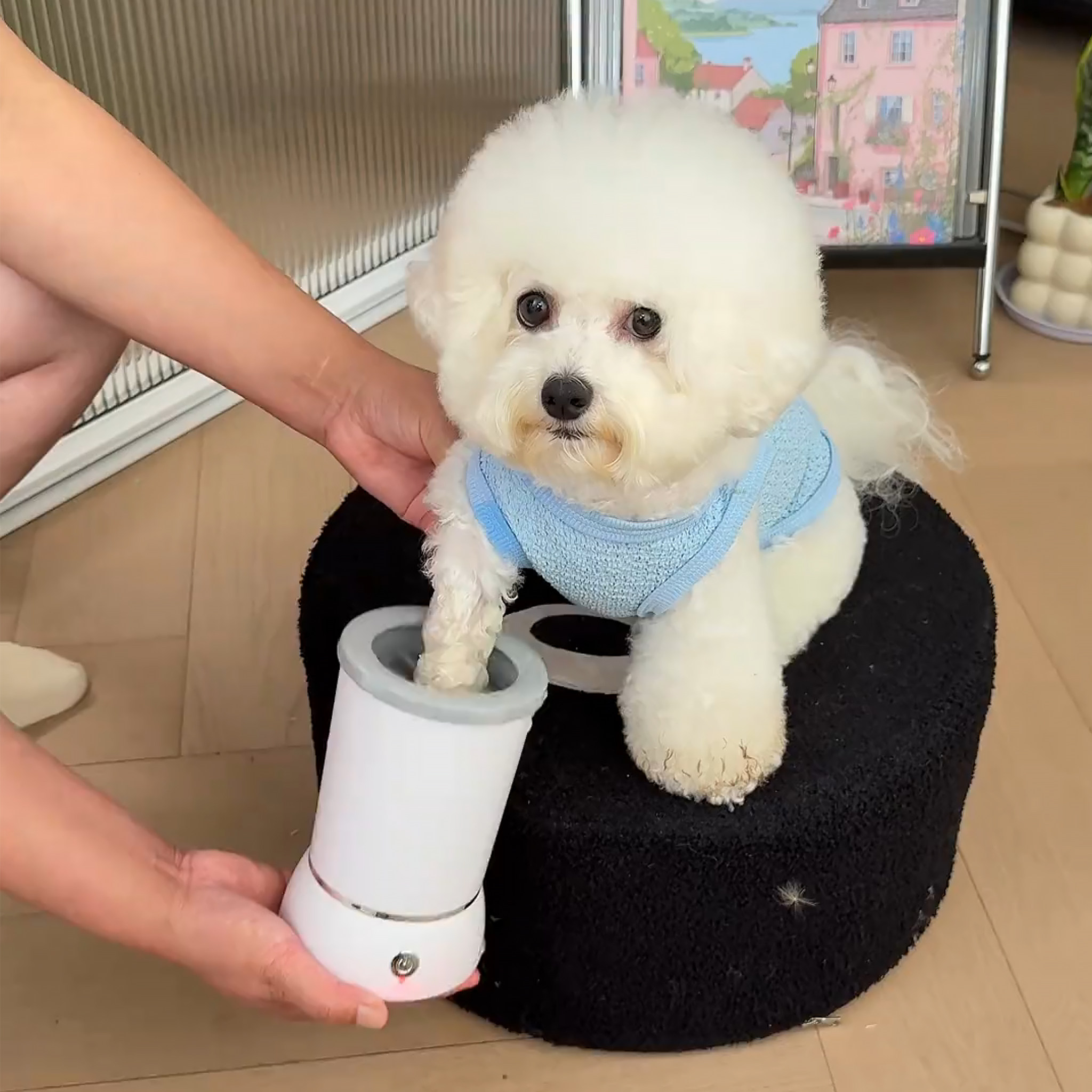 【宠物洗脚神器】便携式洗脚杯图片