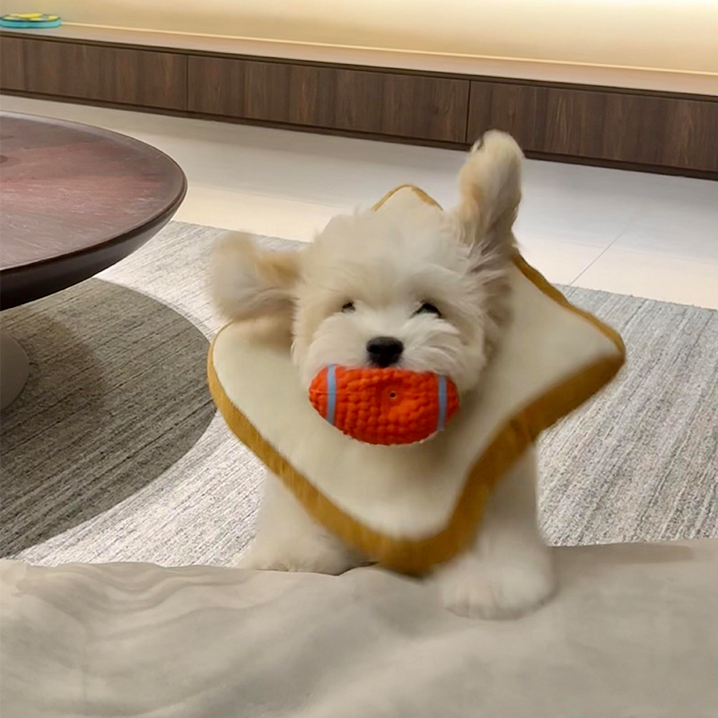 猫咪狗狗吐司面包防舔伊丽莎白圈