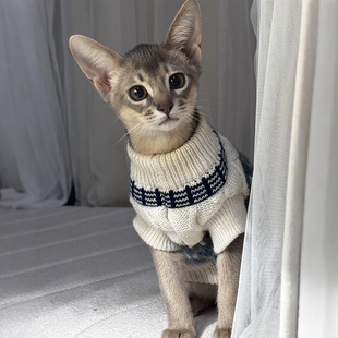 费尔岛毛衣宠物狗狗衣服小型犬比熊猫咪衣服冬季两脚衣2025新款