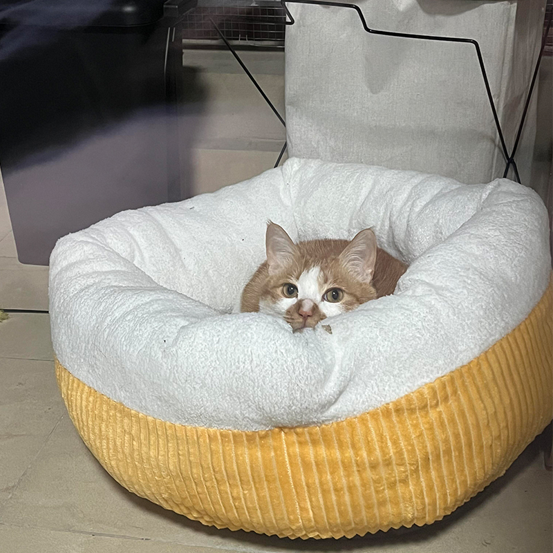 猫窝冬季保暖小型犬狗窝隧道猫床