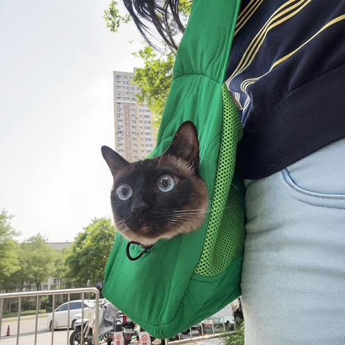 爱宠出门不害怕！社会化训练猫包