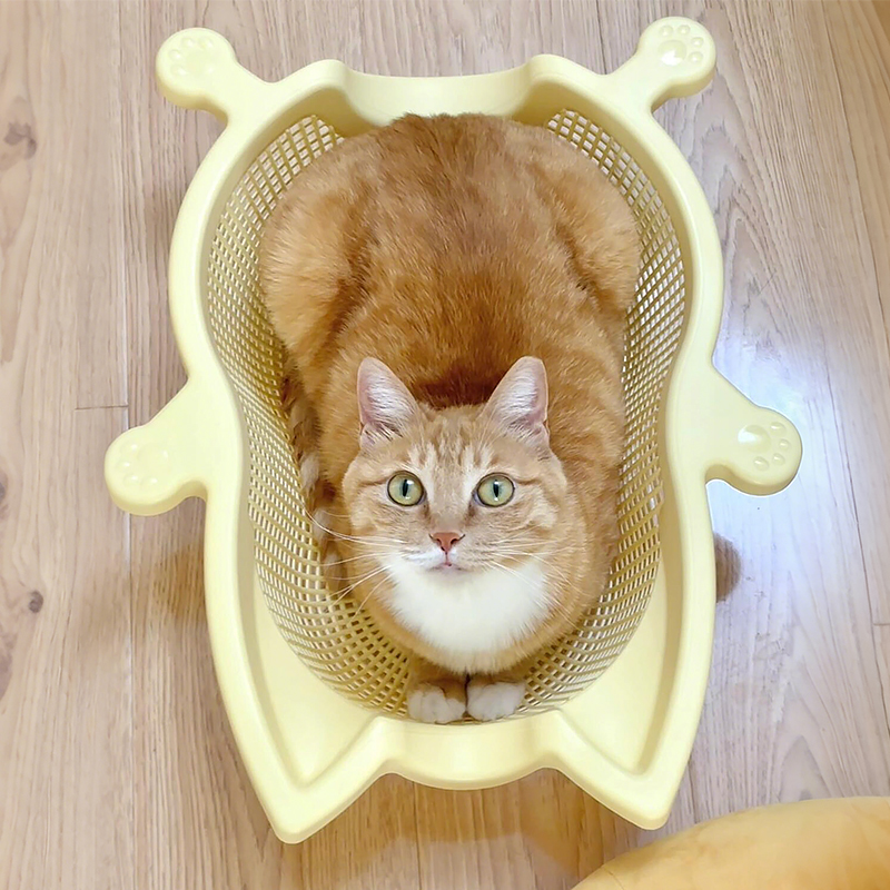 【洗菜篮猫窝】四季通用透气猫床