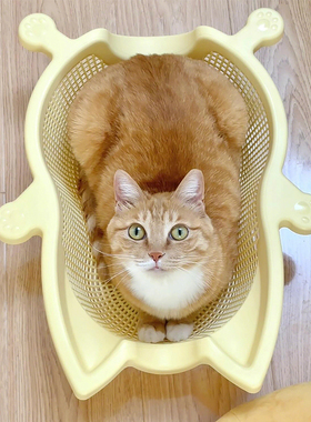洗菜篮猫窝四季通用夏季透气猫床猫咪睡觉垫子创意宠物窝2025新款