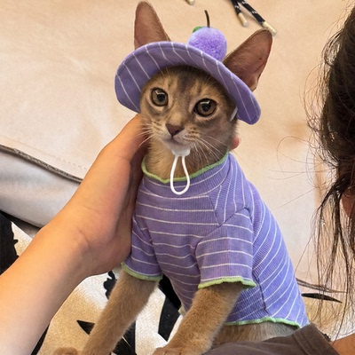 【萌宠OOTD】小狗狗猫咪帽子套装