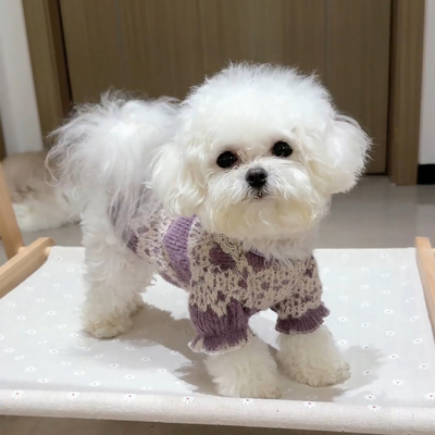 【萌宠OOTD】猫咪狗狗加绒打底衫