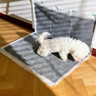 大号加厚狗狗尿垫专用训导垫子