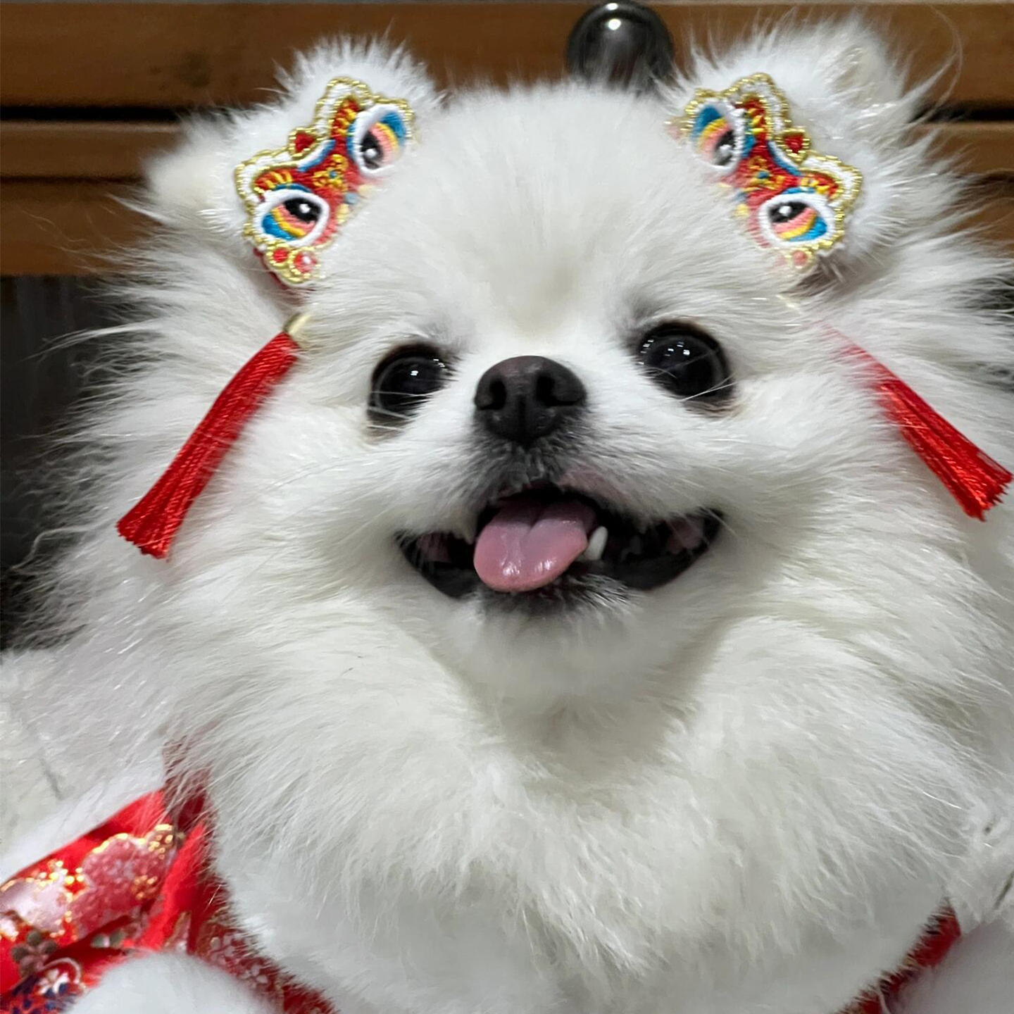 萌宠新年装扮发夹头饰拍照道具