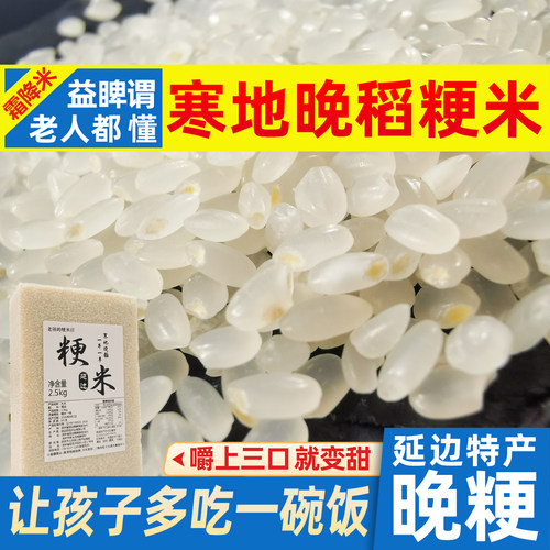 晚稻粳米新米煮粥孩子爱吃益睥胃