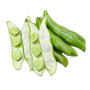 蚕豆种子农家老品种高产大蚕豆种子耐寒胡豆罗汉豆四季蔬菜种籽孑