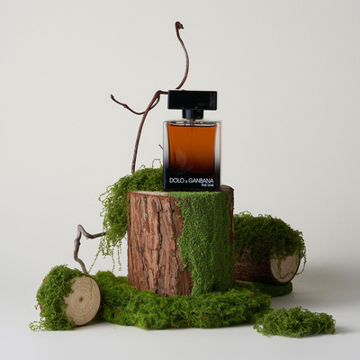 小众高级感青苔木桩造景拍照道具