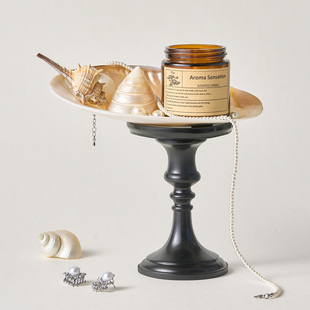 高级感贝壳托盘拍照道具首饰品拍摄背景装 饰摆件美甲戒指摆拍海螺