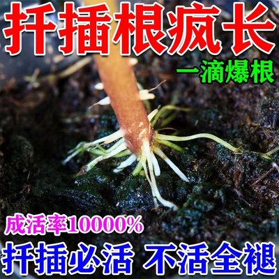 植物扦插生根剂玫瑰月季扦插生根液移栽种植生根粉壮苗植物活力素