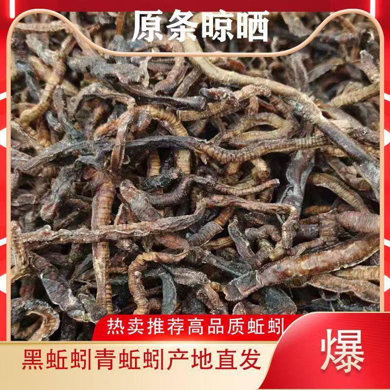 蚯蚓干货大黑蚯蚓干地龙干新货臭蚯蚓黄鳝笼专用诱饵河虾诱饵干