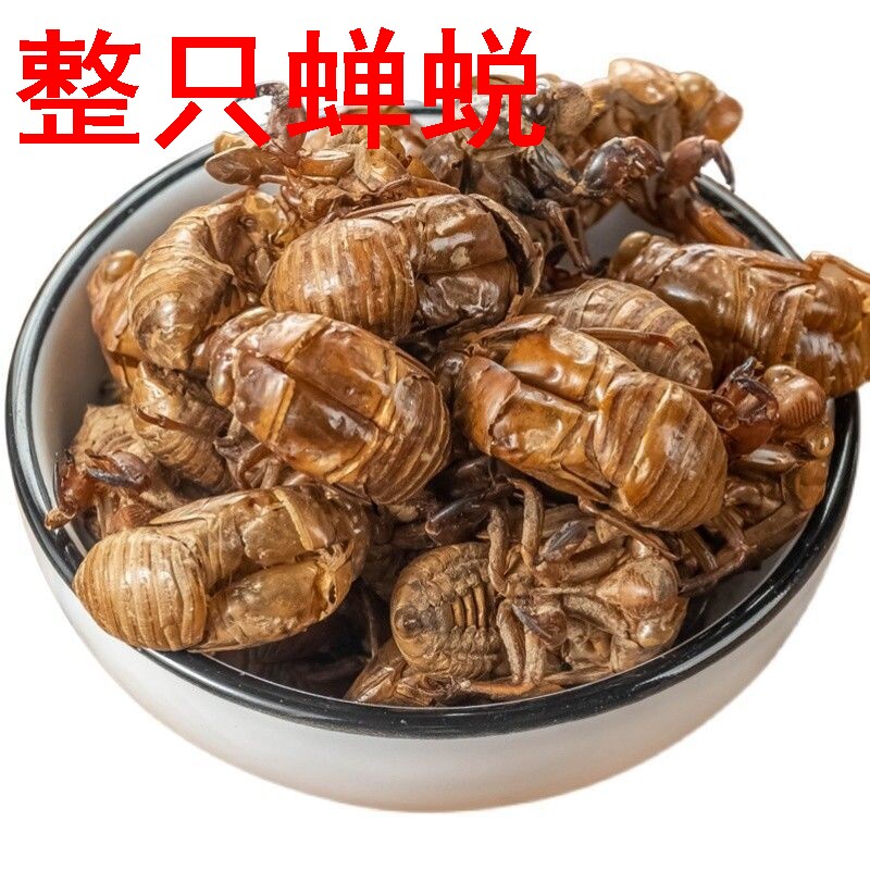 蝉蜕中药材知了壳野生知了猴皮金蝉壳粉蝉衣药材虫蝉退干净