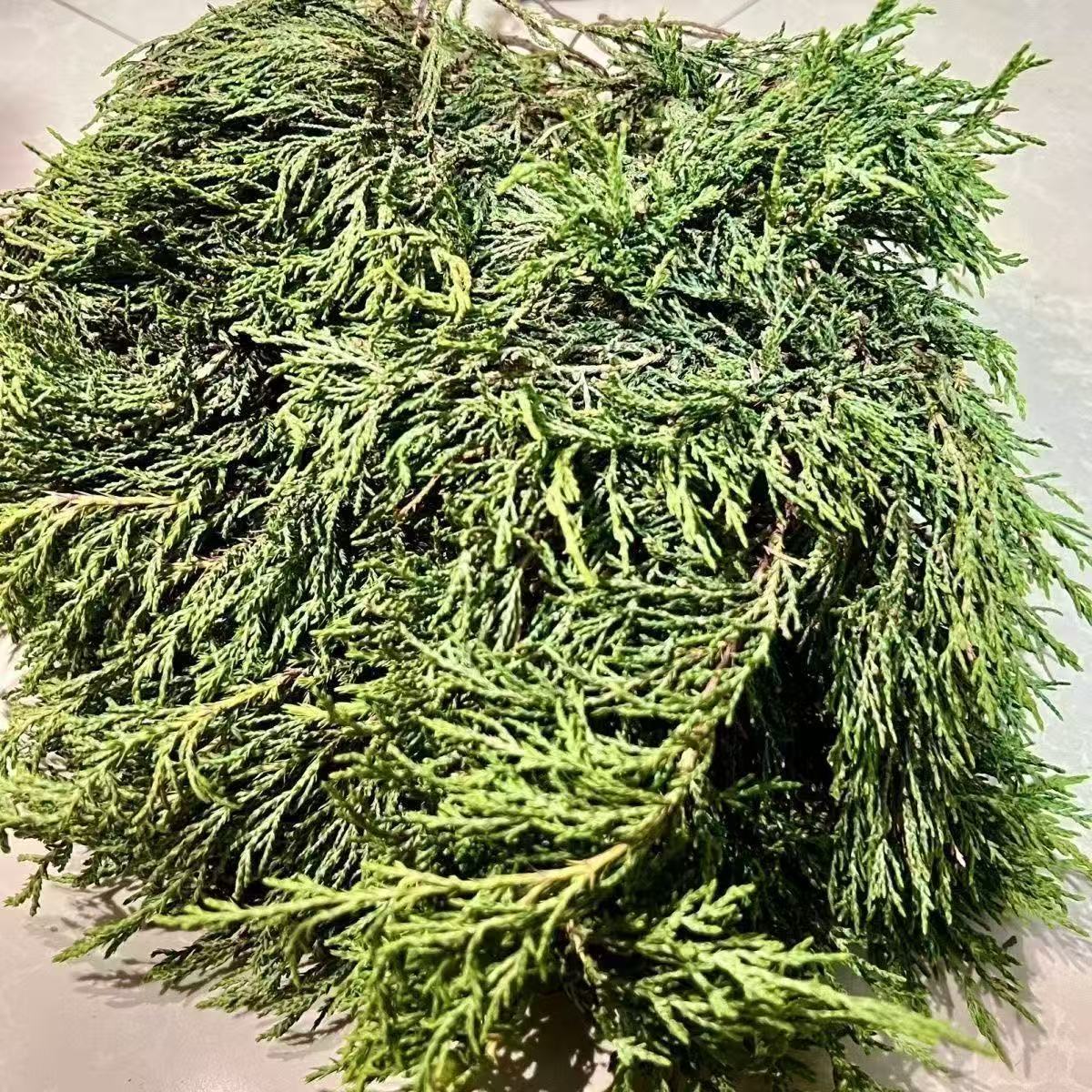 正宗西藏藏香柏枝叶净化空气净宅