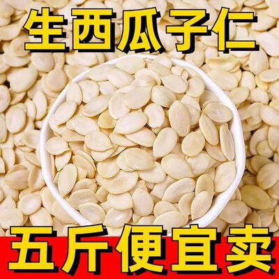 无壳西瓜子仁500g大片雪白仁原味西瓜籽散装坚果烘焙五仁原料