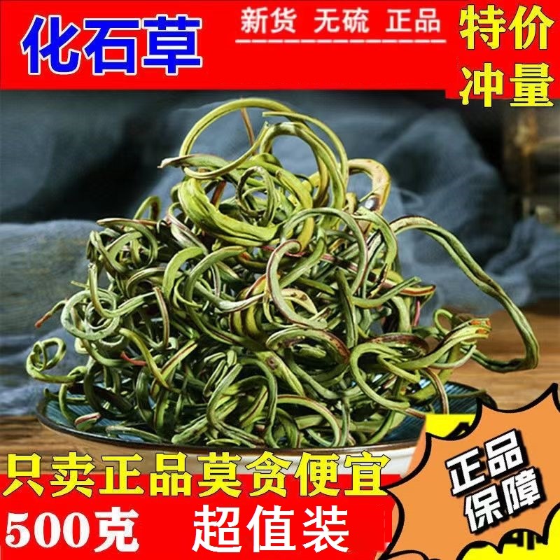 长白山肾精草黄金草嗷嗷叫