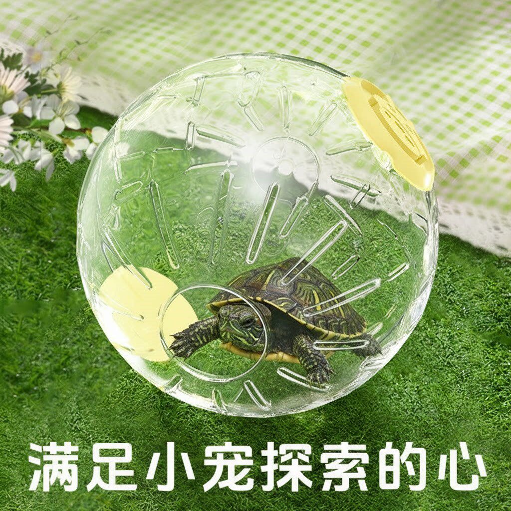 立减5元乌龟专用跑步滚球玩具