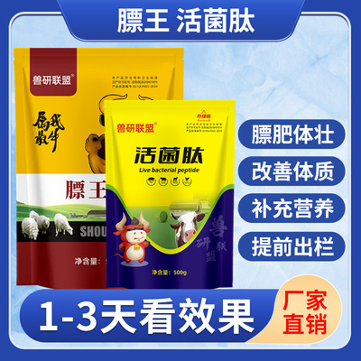 正品膘王活菌肽牛羊快速催肥增长拉大骨架增肥快速出栏开胃增重