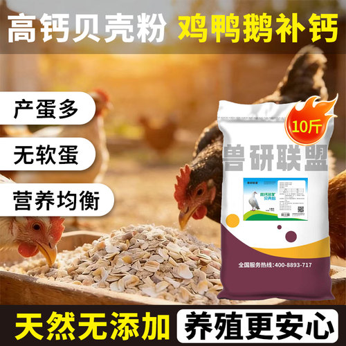 贝壳粉禽类壮骨产蛋补钙易吸收