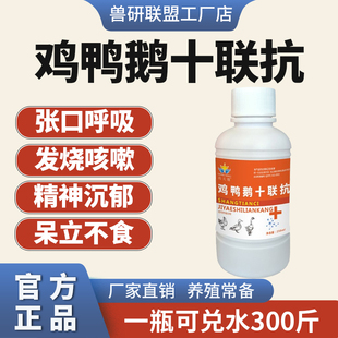 禽用鸡鸭鹅鸽十联抗抗病毒新城疫大肠杆菌感冒法氏囊止咳发烧正品