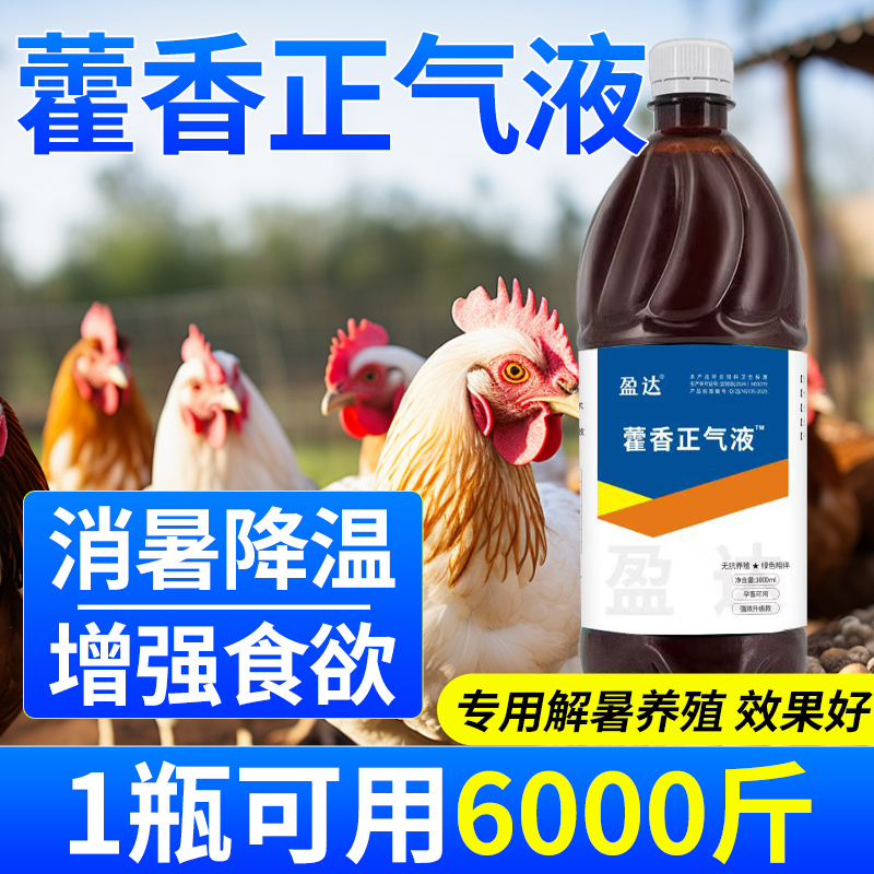 兽用藿香正气液猪牛羊鸡鸭鹅马抗应激解暑降温开胃促食饲料添加剂