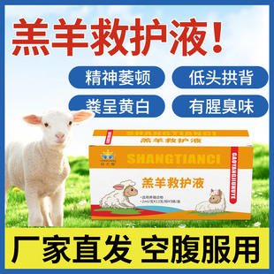 羔羊救护液精神萎顿低头拱背羔羊犊牛用厂家直发空腹服用养殖常备