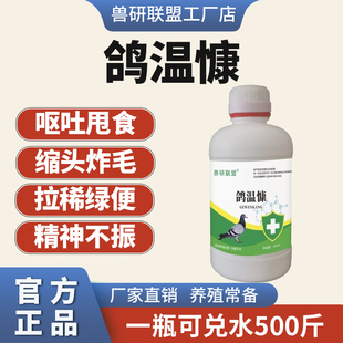 鸽温瘟立康沙门氏菌新城疫鸽子拉稀水便绿便歪脖缩头炸毛甩食鸽