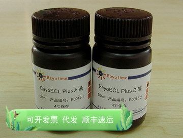 P0018 BeyoECL Plus(超敏ECL化学发光试剂盒)