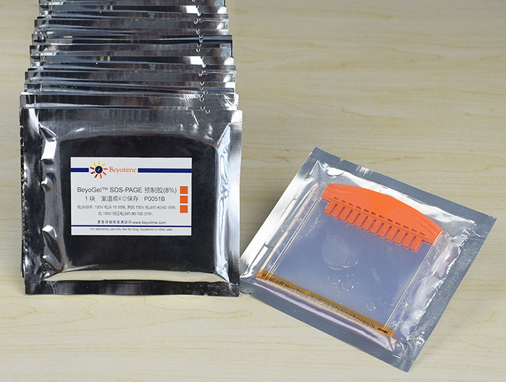 BeyoGel™ SDS-PAGE预制胶(Tris-Gly, 8%, 12孔) 碧云天生物